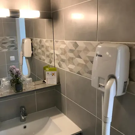 Les Iris 雷安德利斯